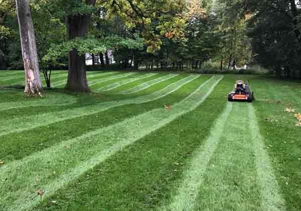 lawn-maintenance