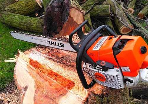tree care chainsaw